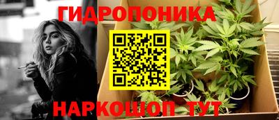 амф Усть-Джегута