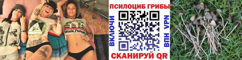 Галлюциногенные грибы ЛСД  Стерлитамак 