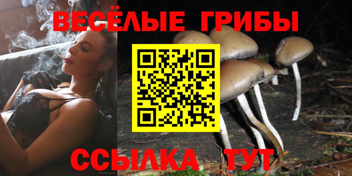 Псилоцибиновые грибы Cubensis Стерлитамак
