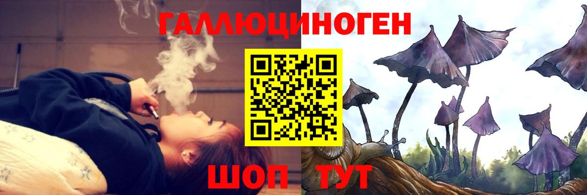 Псилоцибиновые грибы Psilocybe  Псилоцибиновые грибы мицелий  купить  цена  Вход с VPN  Стерлитамак 